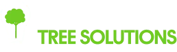 Northern Tree Solutions