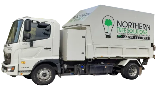Northern Tree Solutions Truck